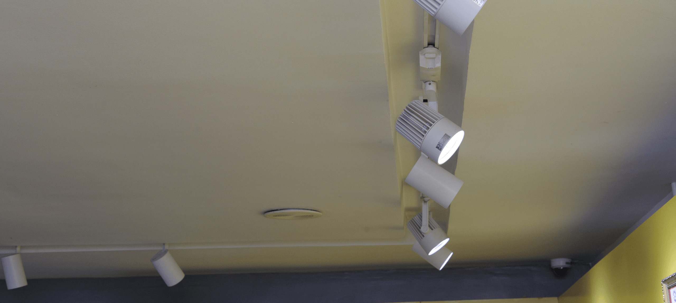 663A7607 Frame